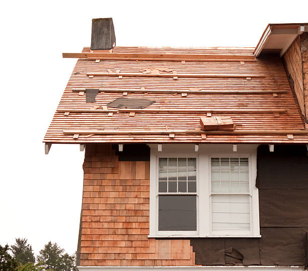 Affordable Siding Repair and Maintenance Services in Flagler Estates, FL